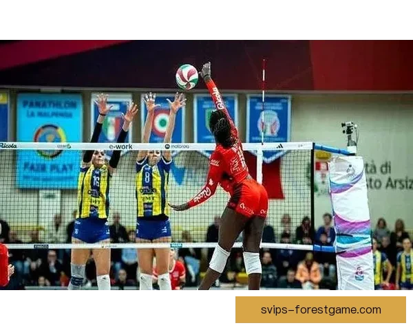 意甲第21轮官方集锦聚焦庄宇珊破门得分高光时刻全回顾精彩瞬间