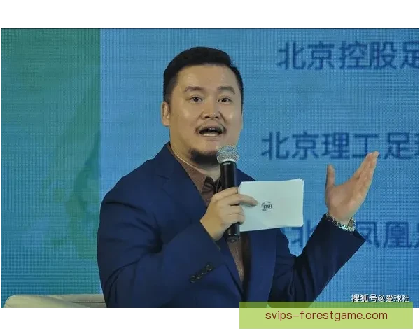 央视贺炜领衔解说团精彩呈现赛事盛况全程解读球场瞬间